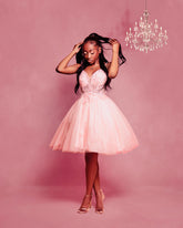 Tulle Skirt party Dress